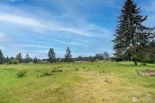 16915 Eugene St SW, Rochester, WA 98579 - Photo 28