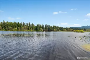 14818 Terrace Ave SE, Tenino, WA 98589 - Photo 28