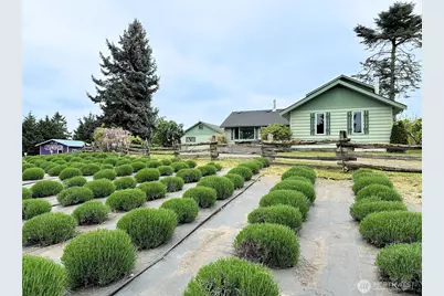 31 Brueckner Road, Sequim, WA 98382 - Photo 36