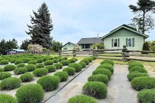 31 Brueckner Rd, Sequim, WA 98382 - Photo 36