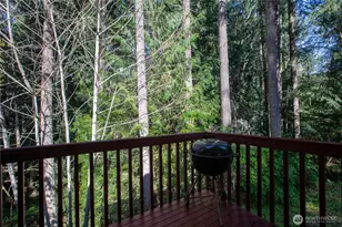 22530 Bluewater Dr SE, Yelm, WA 98597 - Photo 28