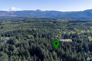 22530 Bluewater Dr SE, Yelm, WA 98597 - Photo 38