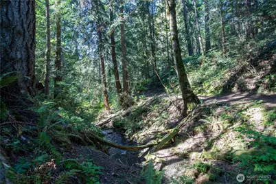 22530 Bluewater Drive SE, Yelm, WA 98597 - Photo 30