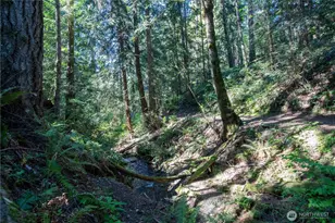22530 Bluewater Dr SE, Yelm, WA 98597 - Photo 30