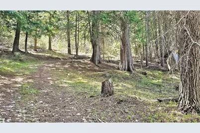 921 Jenkins Drive, Cle Elum, WA 98922 - Photo 34