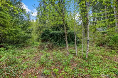 51223 195th Place SE, Index, WA 98256 - Photo 12