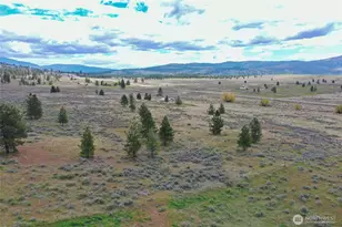 6996 Hwy 155, Omak, WA 98841 - Photo 28
