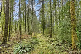0 Sands Ave NE, Bainbridge Island, WA 98110 - Photo 18