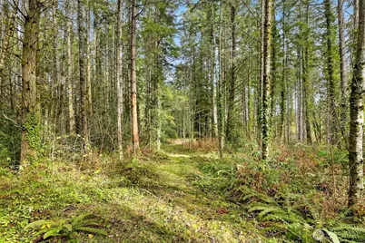 0 Sands Avenue NE, Bainbridge Island, WA 98110 - Photo 20