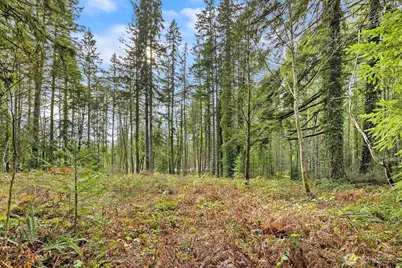 0 Sands Avenue NE, Bainbridge Island, WA 98110 - Photo 12