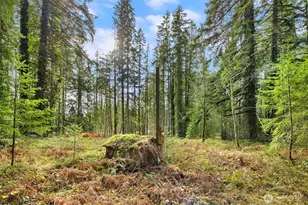 0 Sands Ave NE, Bainbridge Island, WA 98110 - Photo 10