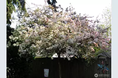 13801 59th Ave SE, Everett, WA 98208 - Photo 22