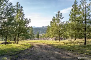21 Deer Rdg Rd, Tonasket, WA 98855 - Photo 28