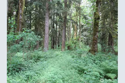 0 Arnold Lane, Concrete, WA 98237 - Photo 1