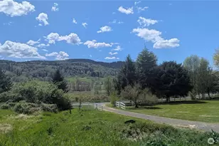 281 Jarvis Rd, Mossyrock, WA 98564 - Photo 22