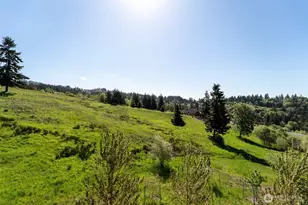 160 Windy River, Kalama, WA 98625 - Photo 18