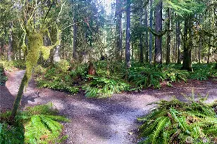 10500 Mt Baker Hwy, Glacier, WA 98244 - Photo 18