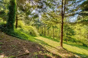 229 Prospect Rd, Woodland, WA 98674 - Photo 40