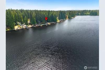 451 E Ballantrae Drive, Shelton, WA 98584 - Photo 30