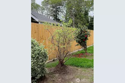 210 166th Street E, Spanaway, WA 98387 - Photo 20
