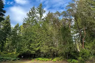 12027 Country Club Dr, Anderson Island, WA 98303 - Photo 1