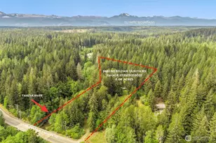 3480 NE Belfair Tahuya Rd, Tahuya, WA 98588 - Photo 2