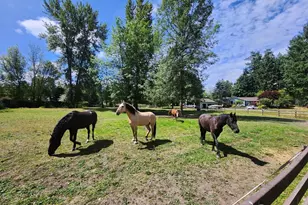20916 Edwards Rd E, Lake Tapps, WA 98391 - Photo 2