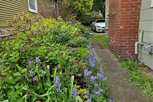 2615 47th Ave SW, Seattle, WA 98116 - Photo 10