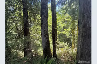 1356 SE Carl Pickel Drive, Port Orchard, WA 98366 - Photo 8