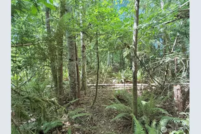 1356 SE Carl Pickel Drive, Port Orchard, WA 98366 - Photo 14