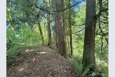 1356 SE Carl Pickel Drive, Port Orchard, WA 98366 - Photo 4