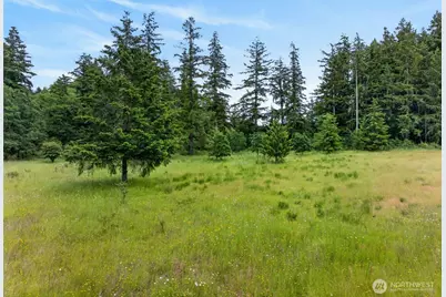 10320 James Road SW, Rochester, WA 98579 - Photo 38
