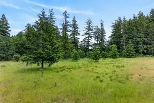 10320 James Rd SW, Rochester, WA 98579 - Photo 38