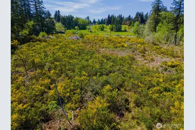 8600 Steamboat Island Road NW, Olympia, WA 98502 - Photo 6