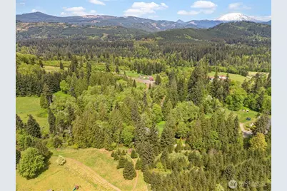 0 NE Yale Bridge Road, Amboy, WA 98601 - Photo 6