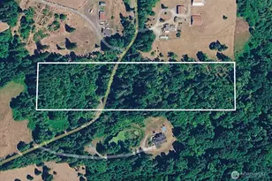 0 NE Yale Bridge Rd, Amboy, WA 98601 - Photo 1