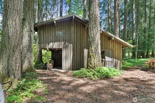 155 Bonell Rd, Randle, WA 98377 - Photo 10