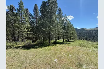 0 Tbd Fir Lane, Curlew, WA 99118 - Photo 6