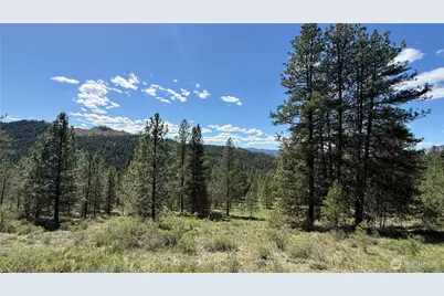 0 Tbd Fir Lane, Curlew, WA 99118 - Photo 18