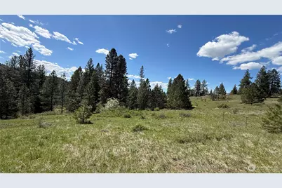 0 Tbd Fir Lane, Curlew, WA 99118 - Photo 2