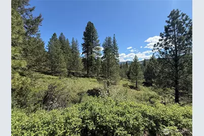 0 Tbd Fir Lane, Curlew, WA 99118 - Photo 20