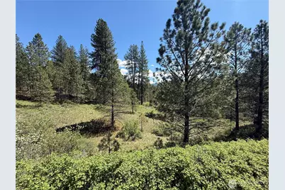 0 Tbd Fir Lane, Curlew, WA 99118 - Photo 1