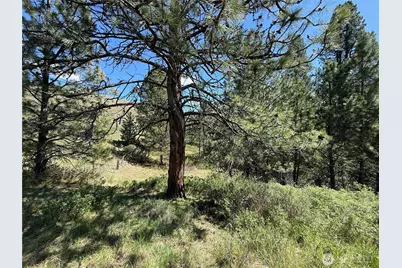 0 Tbd Fir Lane, Curlew, WA 99118 - Photo 4