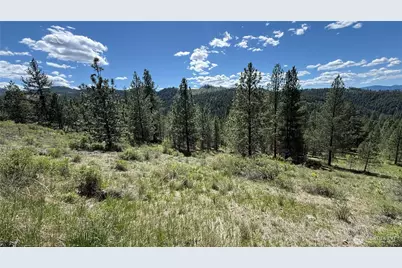 0 Tbd Fir Lane, Curlew, WA 99118 - Photo 16
