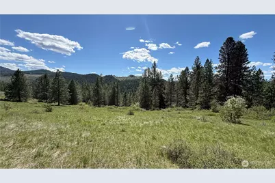 0 Tbd Fir Lane, Curlew, WA 99118 - Photo 12