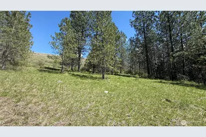 0 Tbd Fir Lane, Curlew, WA 99118 - Photo 14