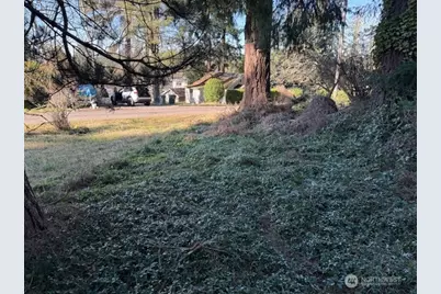 0 Bonanaza Street, Bellingham, WA 98229 - Photo 10