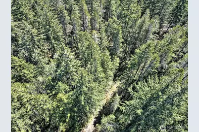 1161 NE Toonerville Drive, Belfair, WA 98528 - Photo 10