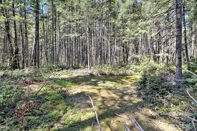1161 NE Toonerville Drive, Belfair, WA 98528 - Photo 14