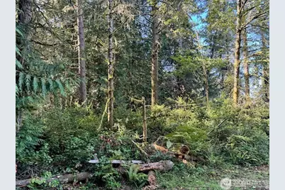 12408 93rd Street, Anderson Island, WA 98303 - Photo 2